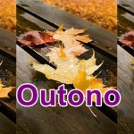 Outono : A estação começa hoje!