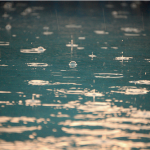 Refletindo num dia chuvoso