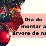 Dia de montar a árvore de natal